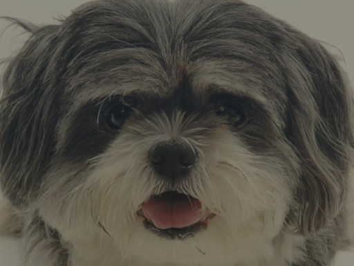 MarioBlade64's Avatar and Relax World（won't get any update）