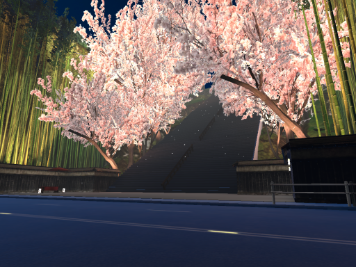 Cherry blossom stairs