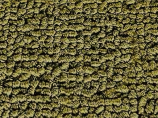 Midi playback and Web Image Loading Test