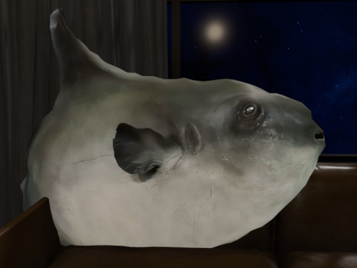 sunfish ＆ mushroom ⁄ マンボウ＆きのこ