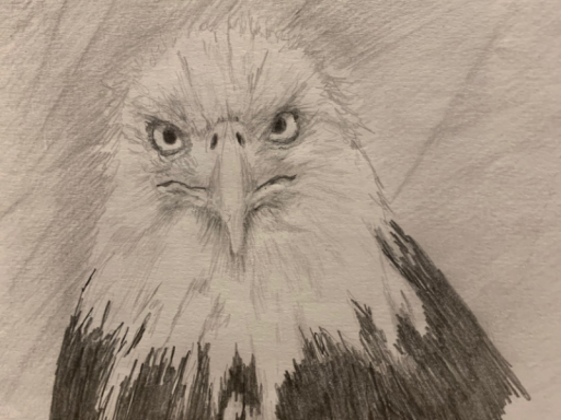 3D GALLERY OF PAINTED MEMORIES