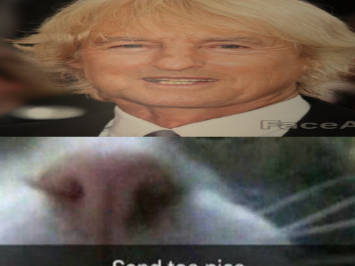 owen wilson fun time