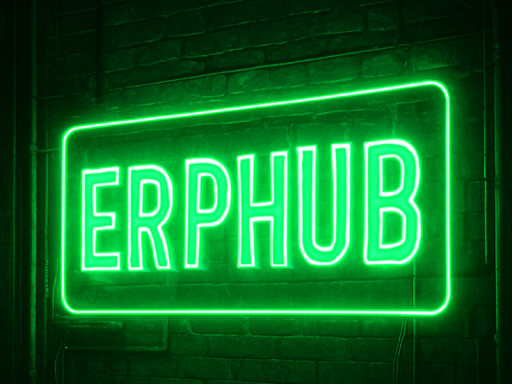 ERPHUB 1․25