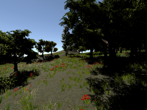 The Mountain Valley Experience