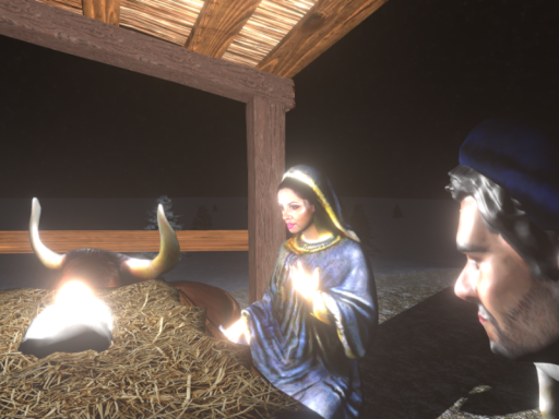 Nativity Scene