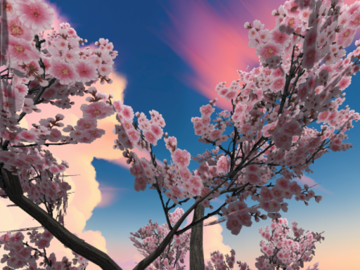 just a sakura tree