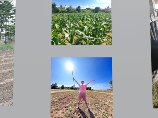 Virtual Agriculture Experience