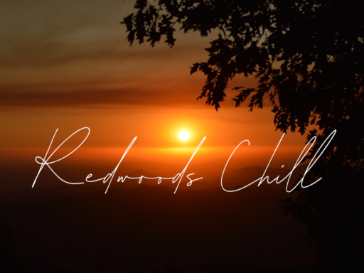 Redwoods Chill