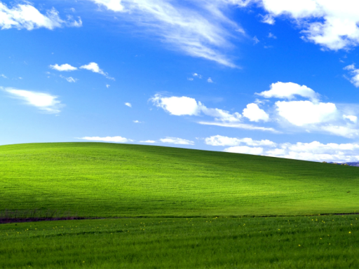 WINDOWS XP