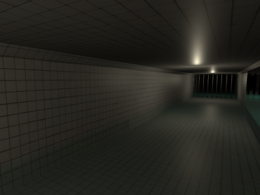 You're locked in a subway station as it slowly floods ⁄ Final flash of existence