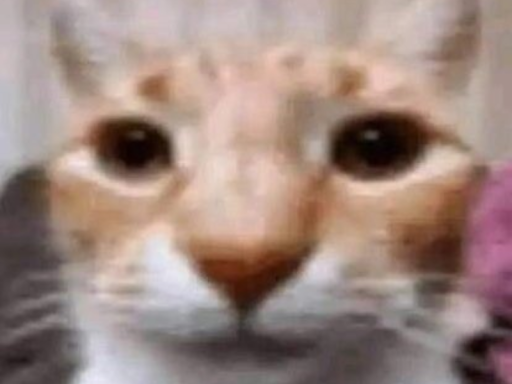 MAIS AEWSOM WORLDǃǃǃ