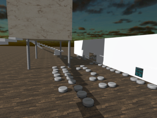 Dandeliiion的模型世界