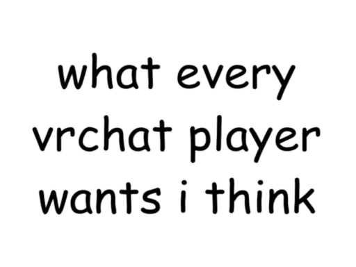 what every vrchat player ever wants