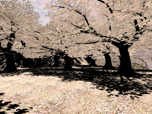 Hanami Sakura -TomisuOtani-