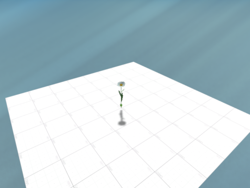 just やばいお花見