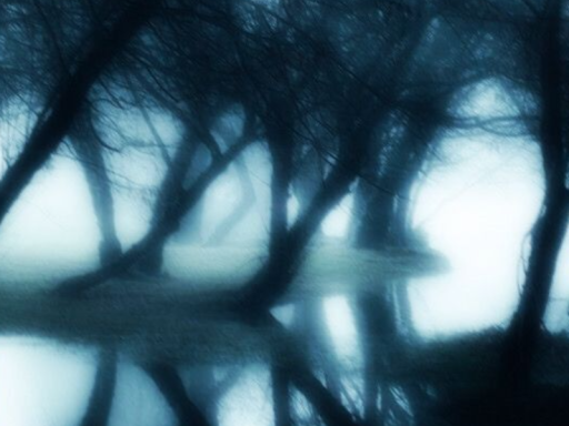 TyTy x Mxllo Avatar World