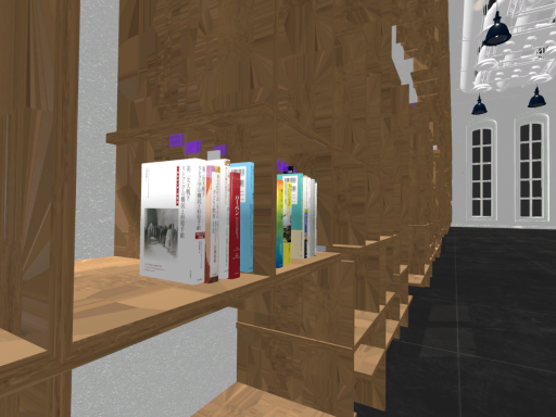 本棚オープンワールド Books in an Openworld