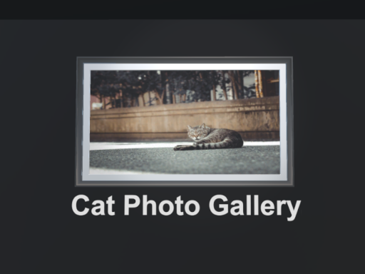 Cat Photo Gallery