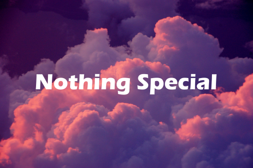 Nothing Special