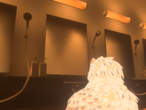 フクロウの旅館