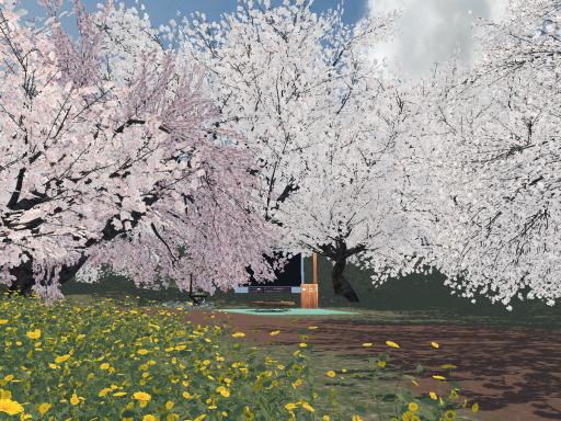 SAKURA BIYORI -桜日和-