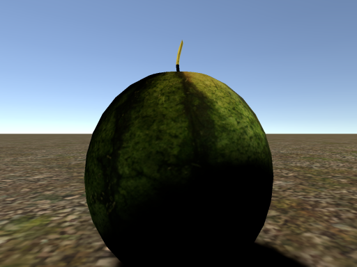 Justスイカ割りat荒野