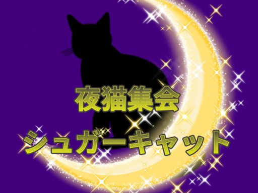 夜猫集会 シュガーキャット