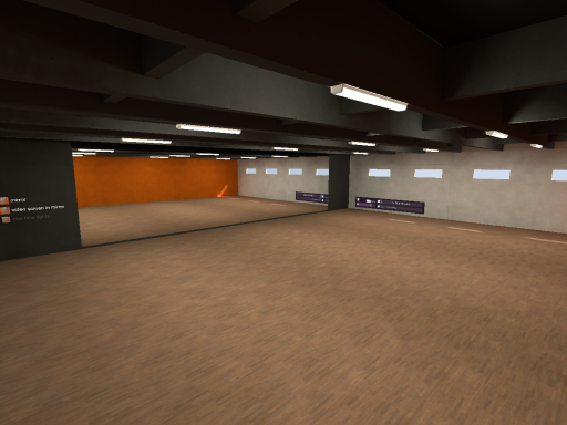 Video Fitness and Dance Studio