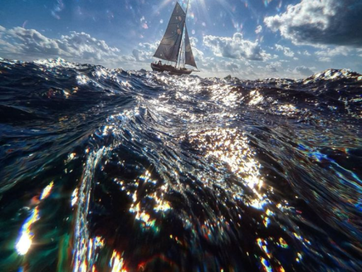 tooker world （avatars）