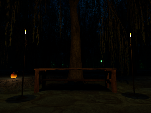 枝垂れ柳の樹の下で