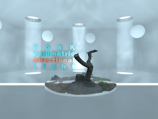 VoxKVolumetricDirectionalLight