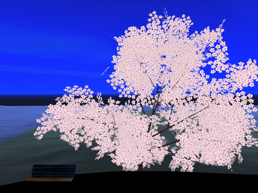 Sakura tree