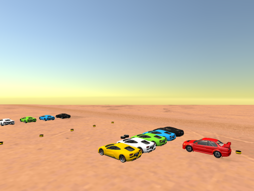 Desert Race