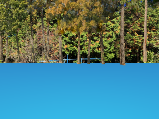 乾布摩擦ワールド