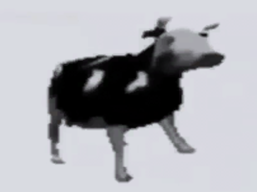 polish cow experience