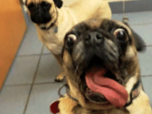 Music and music only