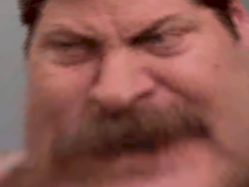 I Can Do What I Want․