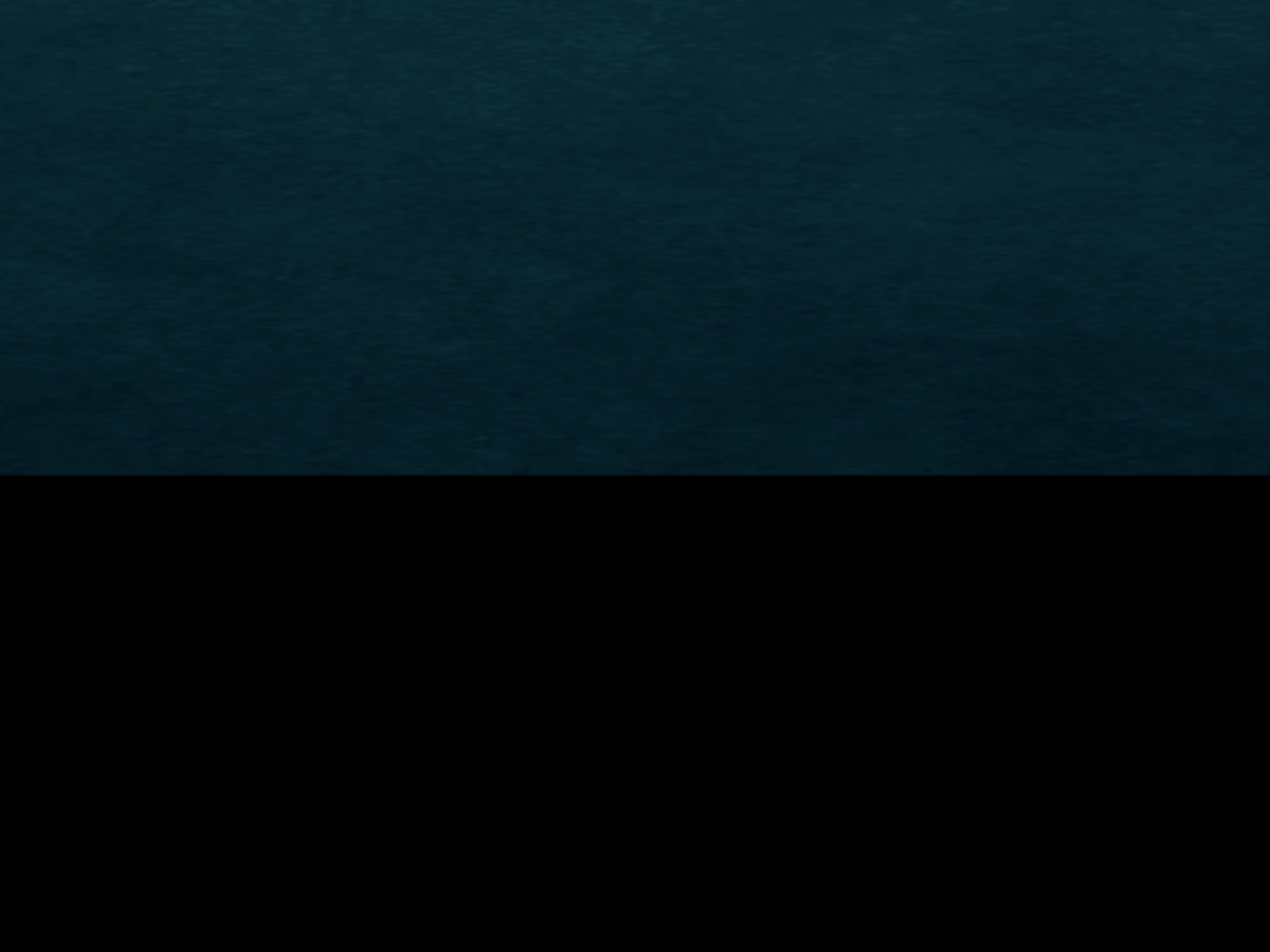 Temple's Drawing World