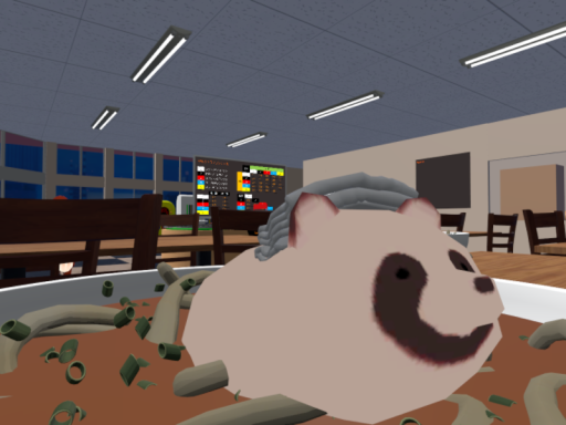 ゲームコーナーというには大きすぎるなにか