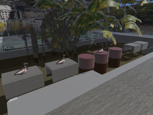 鴨が美味そうなワールド