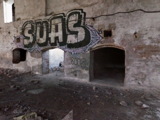 TyTy X SOUL AVI WRLD