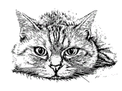 シロネコハウス