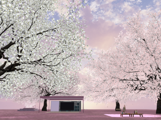 花見もできる！筋トレから逃げたい人のためのダンススタジオ