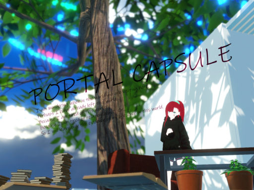 PORTAL CAPSULE
