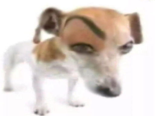 What is Oatmeal 2˸ Questionable Outcomes