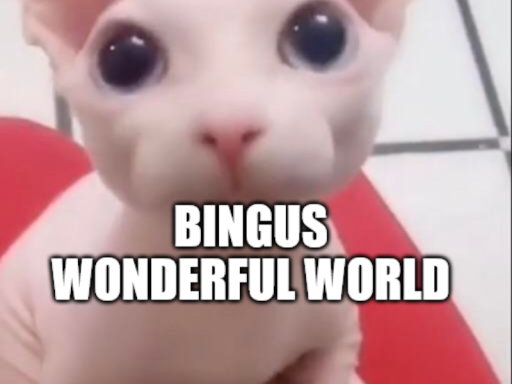TheBingus's's wonderful world