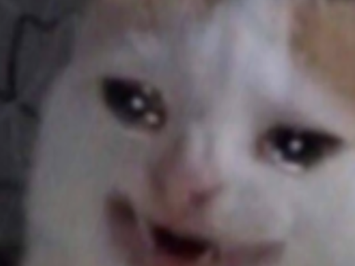 Asuu ＆ Kasumi party