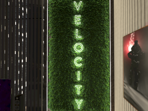Velocity
