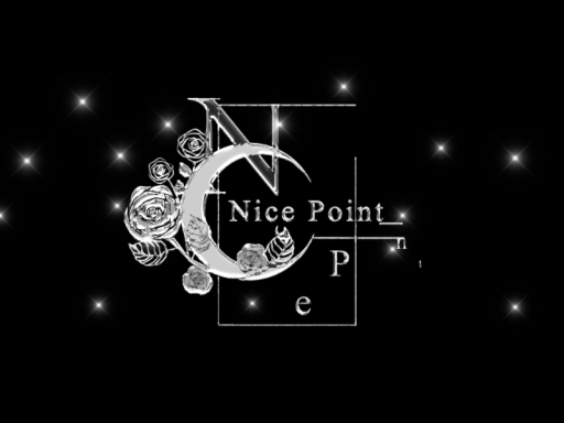 Nice Point和最好的朋友们