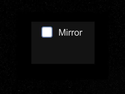 Mirror